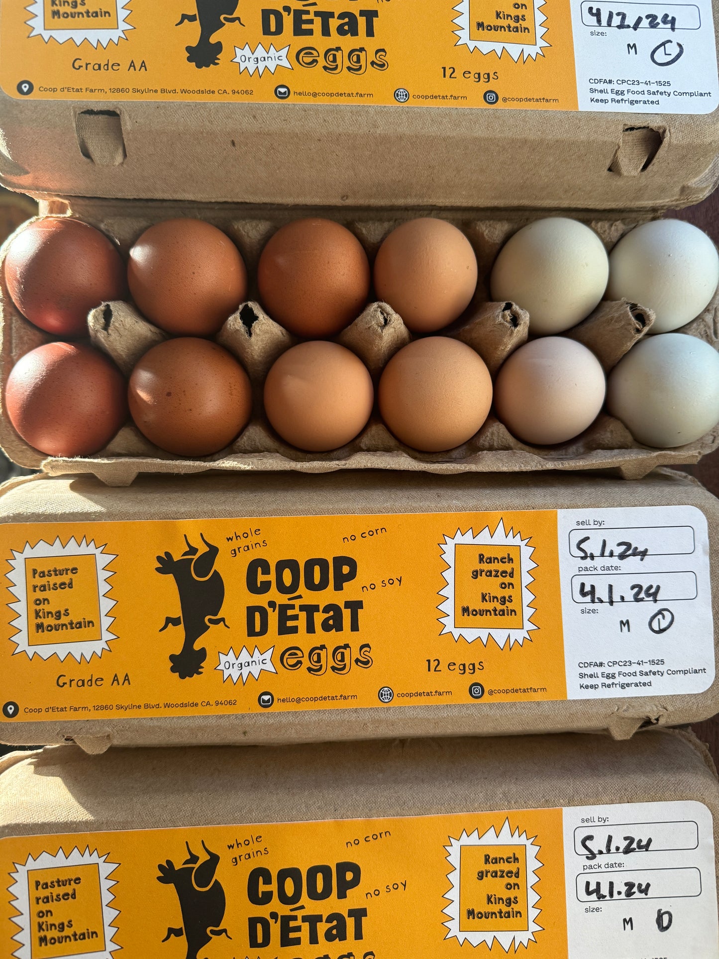 Coop _ Fresh Eggs (Large)