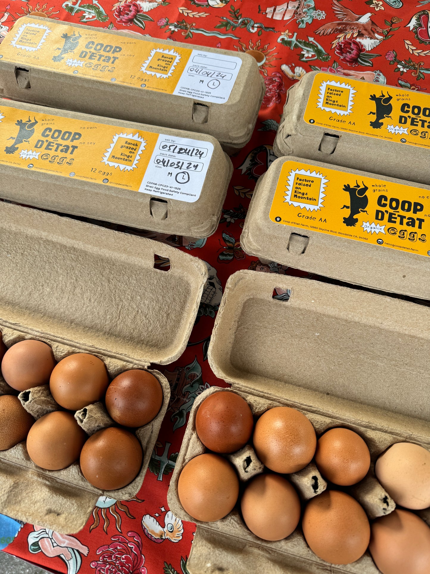 Coop _ Fresh Eggs (Large)