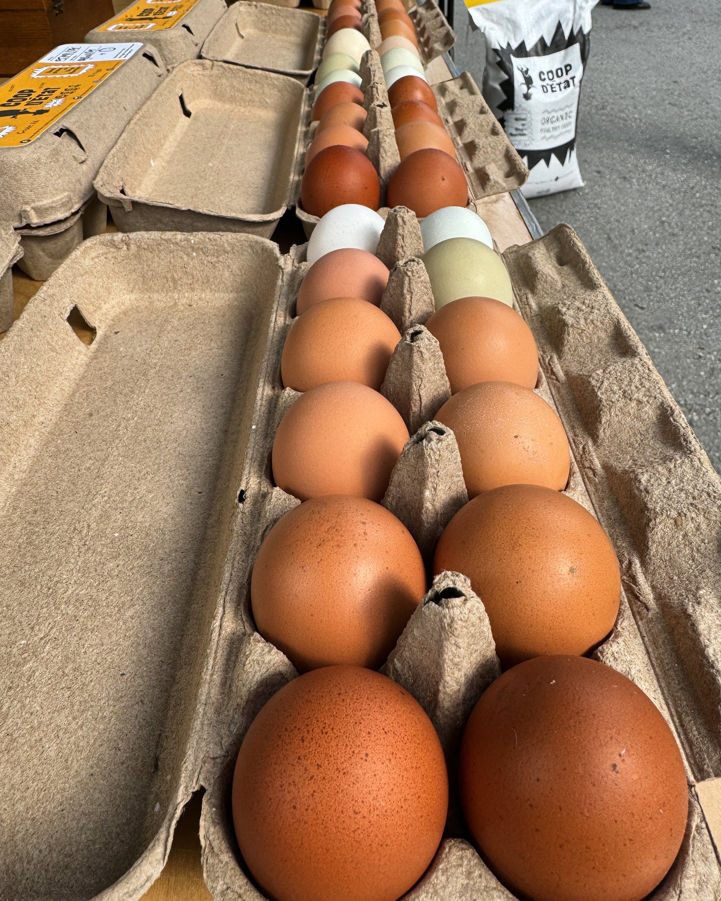 Coop _ Fresh Eggs (Medium)
